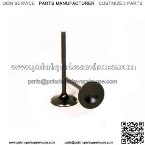Exhaust Valve for 2015-2020 Honda TRX420FA5 FourTrax Rancher 4x4 wb (For: Honda)