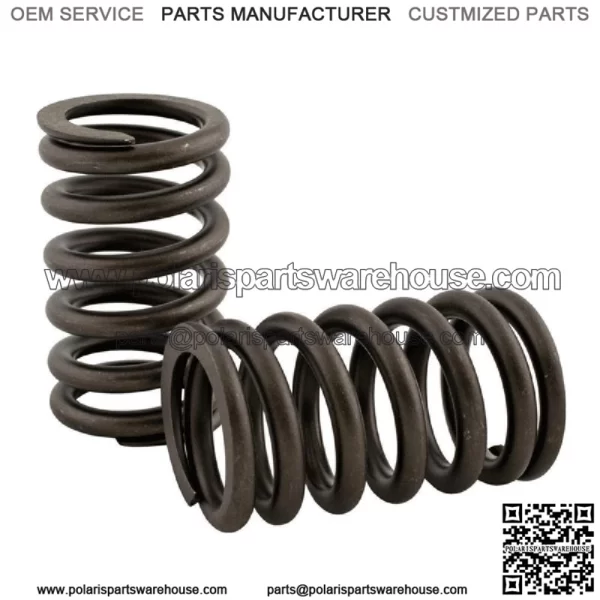 R-3900276 Valve Spring Fits AGCO