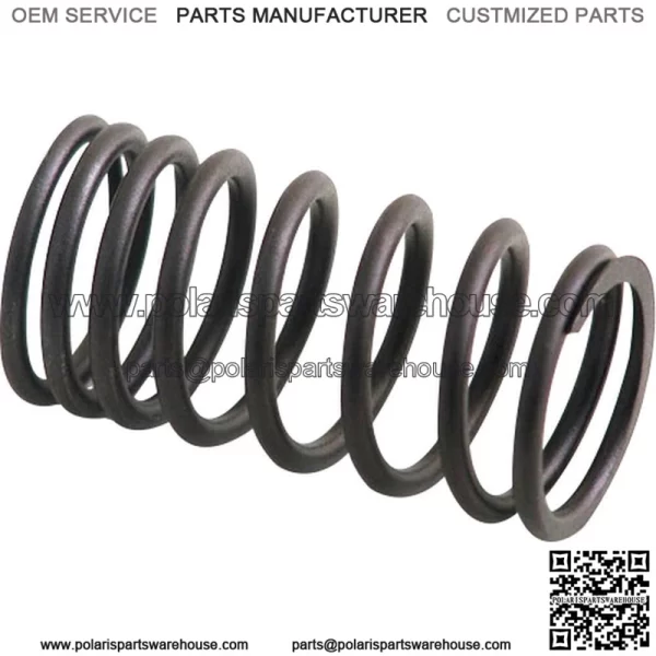 AM31744131 Inner Valve Spring