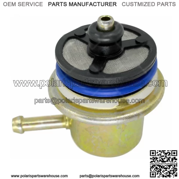 Fuel Injection Pressure Regulator For Chevrolet Buick GMC Isuzu Pontiac PR217 (For: More than one vehicle)