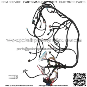 Stand Alone Harness 4L60E Drive by Cable DBC For 1997-06 LS1 LS SWAP 4.8 5.3 6.0